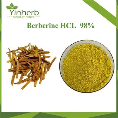 Berberina HCL em pó CAS.633-65-8 10% - 98% Pureza
